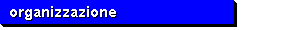 organizzazione