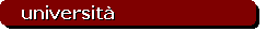 universit�